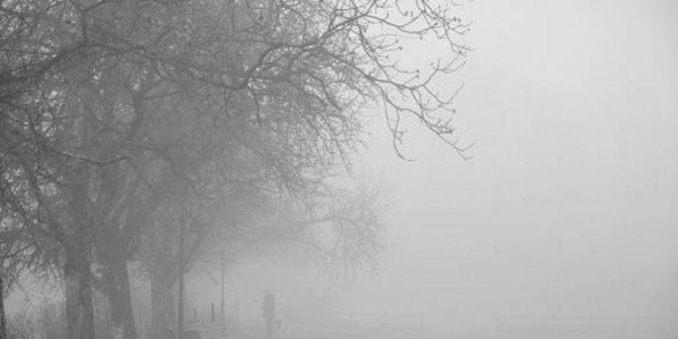 Фото: ілюстративне/з вільних джерел