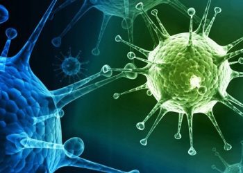 Фото: ілюстративне/з вільних джерел