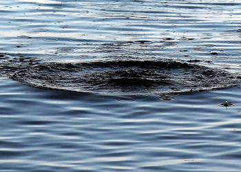 Фото: ілюстративне/з вільних джерел