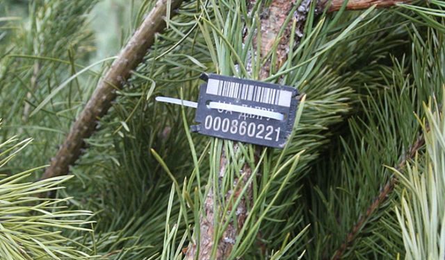 Фото: ілюстративне/з вільних джерел