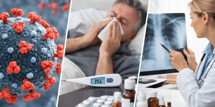 Фото: ілюстративне/з вільних джерел