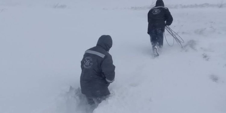 Фото: АТ "Тернопільобленерго"