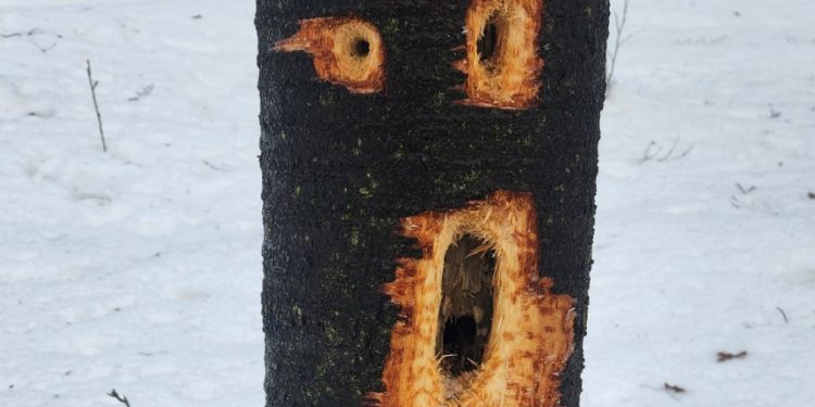 Фото: Арсен Капустинський