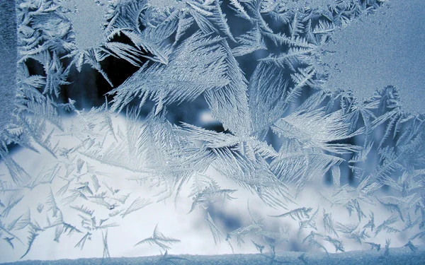 Фото: ілюстративне/з вільних джерел