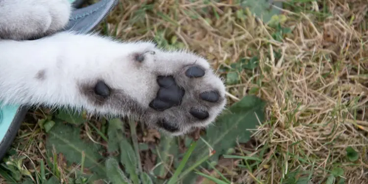 Фото: ілюстративне/з вільних джерел