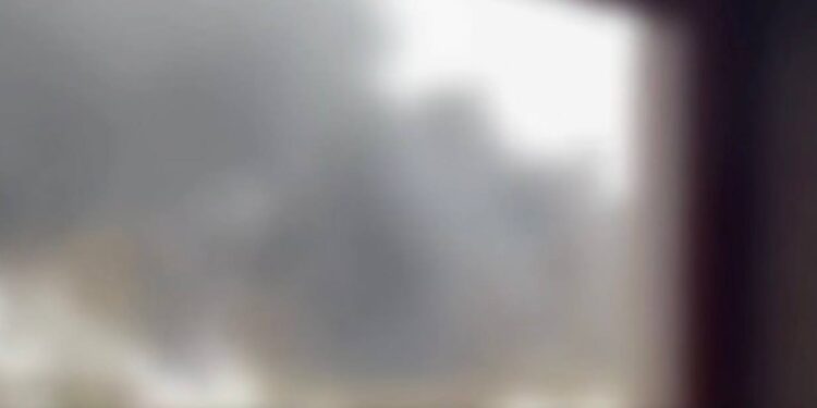 Фото: з вільних джерел